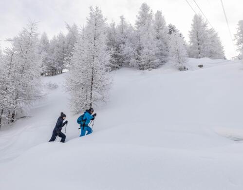 Schneeschuhwanderung im Urlaub in Tirol